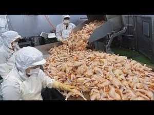 Usine De Transformation De Poulet Frit Et De Poulet à la Coréenne - usine alimentaire