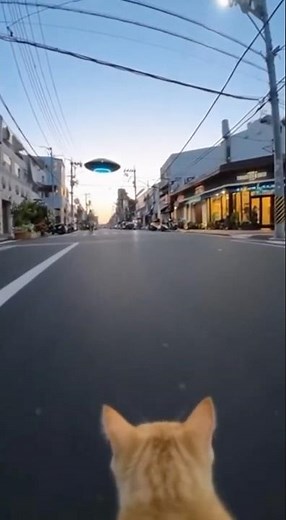 What happens when a cat meets a UFO? Will it gain superpowers?! 👽🐱✨