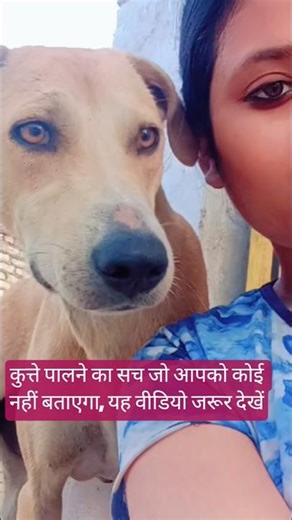 कुत्ते पालने का सच जो आपको कोई नहीं बताएगा, यह वीडियो जरूर देखें #petcare #viraldog #youtubeshort