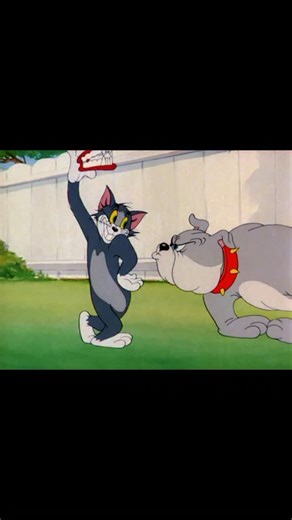 Tom and Jerry is the legendary MGM animated series created by William Hanna and Joseph Barbera, first released in 1940. The show follows the never ending rivalry between Tom the cat and Jerry the mouse, a chase that has entertained audiences for over 80 years. Every episode is a masterclass in comedic timing, with falling pianos, exploding dynamite, and elaborate traps that somehow always backfire on poor Tom. What makes this series timeless is the perfect blend of slapstick comedy, clever gags,