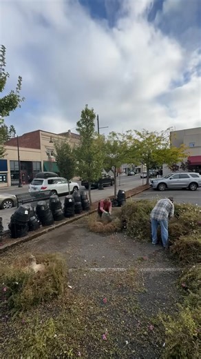 1.5K views · 17 reactions | Albany Downtown Association on Reels | Facebook