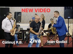 Calinut Printul Banatului , Ziva , 🪗 Pecic și Godici - Instrumentală de Joc ( 08 ziua Elvis Prună)