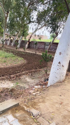 Essential Lawn Maintenance Tips for a Healthy Yard