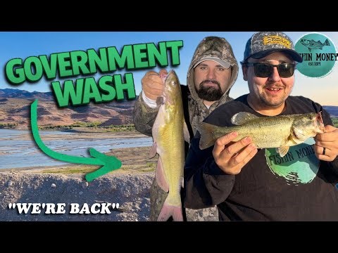 We Came Back to Government Wash… It Did NOT Disappoint!