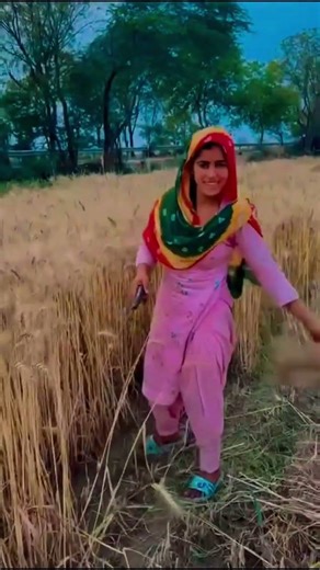 new Mewati #trending short reel popular video#trending #viralvideo#mewatisong2026