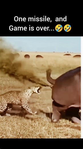 One hit add game is over.🤣