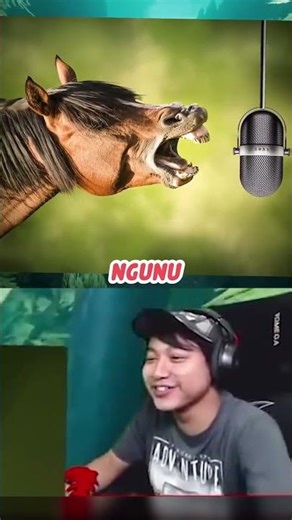 Bentukya Qontom | LABYRINTHINE