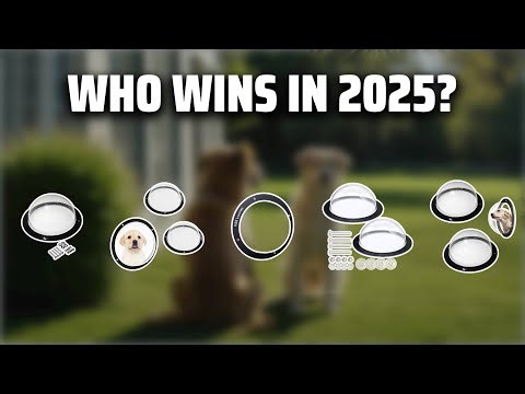 The Top 5 Best Dog Window in 2025 - Must Watch Before Buying!