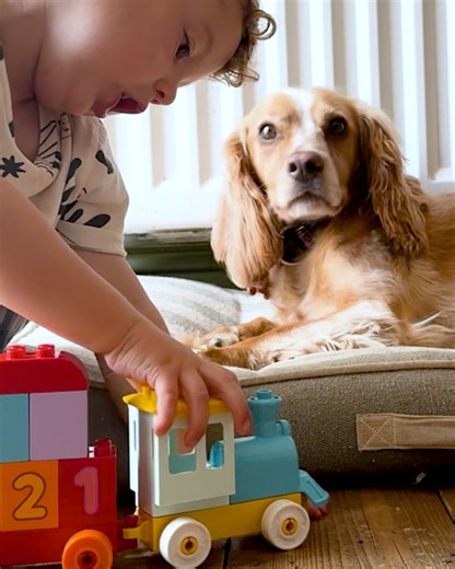 Welcome onboard the LEGO DUPLO Play Ideas Express! Next stop: cognitive skills 🧠, counting 🔢, colours 🌈, comparing 👬 - and learning how to share the ride with a brand-new sibling Choo choo, big emotions incoming! | LEGO Family