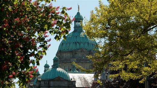 Bless you, Victoria: B.C.'s capital ranked worst city in Canada for tree pollen allergies