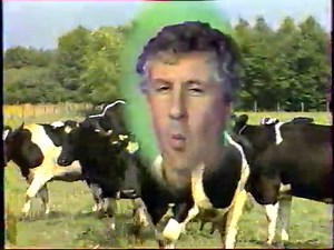 pas folles les betes