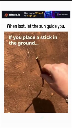 global trending hubb | - The post shares a practical survival technique for finding north in the Northern Hemisphere by tracking a stick’s shadow movement over... | Instagram