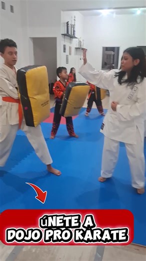 Karate en Dojo Pro: Formación Integral y Valores