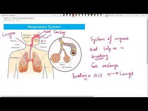 Unit 1 - Respiration | Cambridge Science | Grade 7