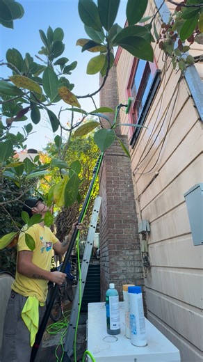 1.3K views | Our technician Alex making the windows at a home in Silver Lake look there best using our pure water system. #windowcleaning | Big City Window Cleaners | Facebook