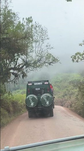 Ngorongoro Crater Safari: Tanzania Wildlife Safari & African Safari Animals Up Close