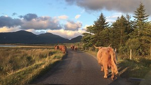 83K views · 1.2K shares | Another amazing day out on Mull with Otters...