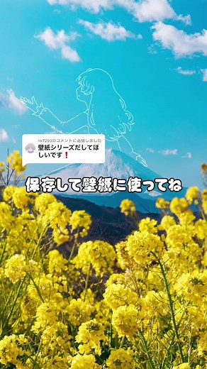 壁紙配布第二弾！無料ダウンロードして使おう