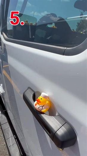3.6K views · 23 reactions | Jeep Ducking around town #duckduckjeep #jeep #jeepducking #jeepduck | Brandon Haneline | Facebook