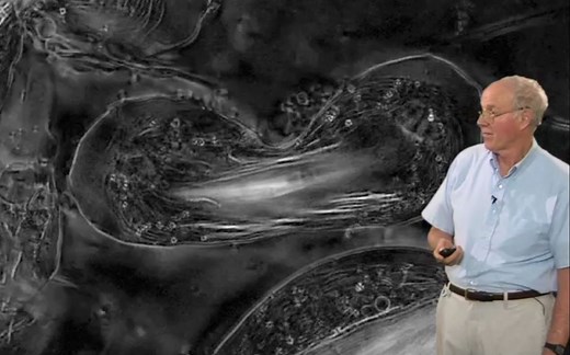 【公开课】【荧光显微镜系列5】暗场与相差显微镜