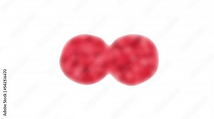 A cell or unicellular organism getting divided into multi cell organism Stock Video