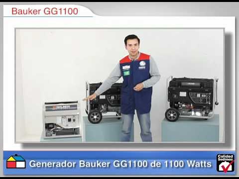 Asesor de compra de generadores Bauker.