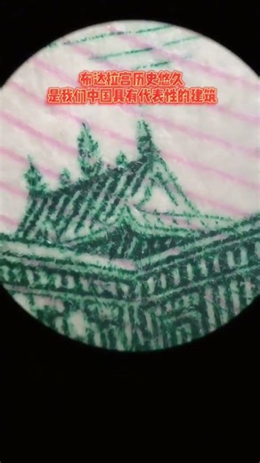 Potala Palace magnified #Micro World #Microscope
