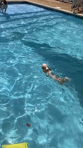 2.3K views · 51 reactions | Little 8 lb. Bella is back for 3 weeks while Mom & Dad vacation. She has become very capable in the art of natation! | Canine Angels Service Dogs | Facebook