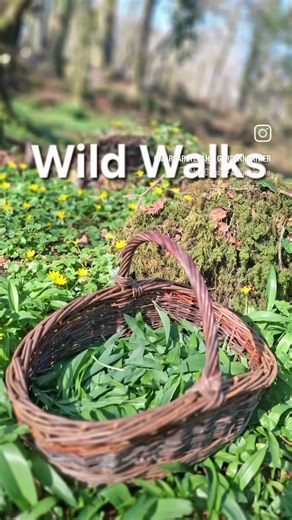 Wild Walks video