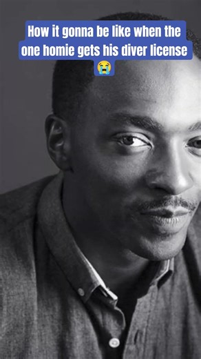 Who's betting they got their license from SpongeBob?🥀