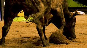  The Ultimate Showdown is HERE!   The Monster Energy PBR Grand...