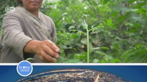 Global 3000 - The Globalization Program