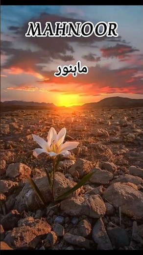 Mahnoor name meaning#nasheed #islamic#viral#trending #shorts#name#meaning#Mahnoor#islamicworld