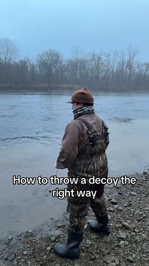 Mastering Duck Decoy Techniques for Effective Hunting