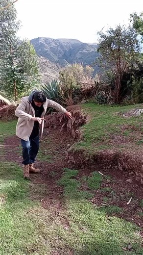 Outdoor Dance and Exercise Routine in Nature