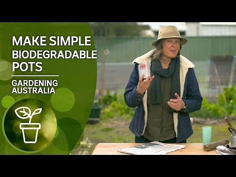 How to make simple biodegradable pots with newspaper