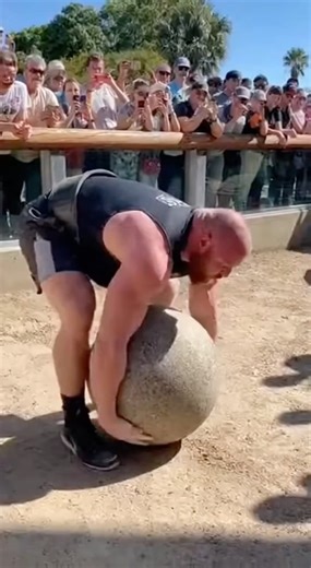 Bodybuilder Vs. Silverback Gorilla to a Strength Test! 🦍💪