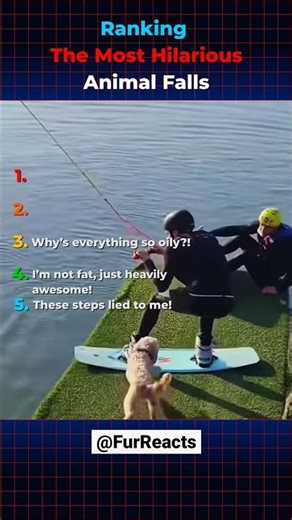 Animals Slipping and Falling 😂 Funniest Moments You’ll Ever See | Try Not to Laugh #shorts
