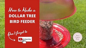 In this fun and frugal DIY tutorial, I'll show you how to create a...