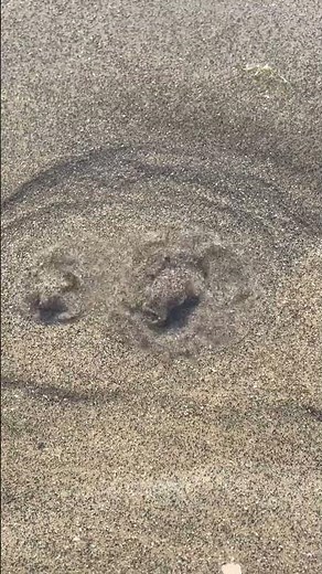 Bubbling freshwater spring