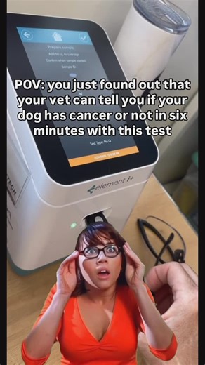 Susan Ettinger Heuter | 🚨 This is NOT a drill! 🚨 The In-House Nu.Q® Vet Cancer Test Gives Us Results in Just 6 Minutes! 🤯⁠ ⁠ Because of the innovations in... | Instagram