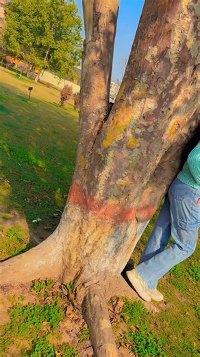 Riteka on Instagram: "#trendingreels #reels #fun"