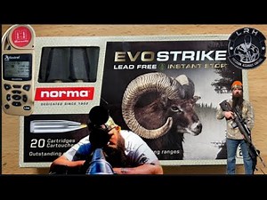 Ballistics gel hunting vs match bullets Episode 32 Norma evostrike
