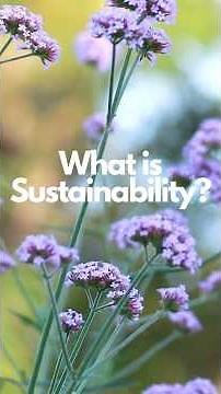 What Is Sustainability? Understanding Its 3 Powerful Pillars #sustainability #1m1b #changemaker