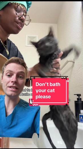 You. Do. Not. Need. To. Routinely. Bathe. Your. Cat. Yet it’s one thing I’m often asked by cat owners, especially new kitten owners, is when can I bath them? The answer I always give is never, unless you absolutely have to. If you do have to bath them because they have diarrhoea/get vomit on them/roll in something, then here are some tips for making it as non stressful as possible: - get someone else to assist you, it will make things much quicker -wet as little of the cat as possible - just wet