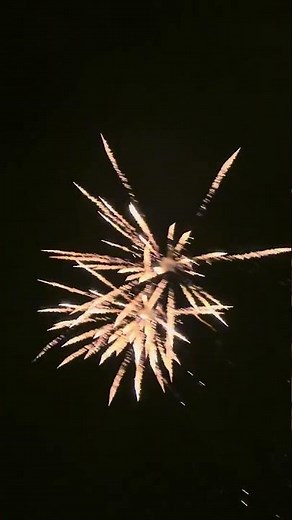 Gold Dakota 75s vuurwerk compound Rubro #fireworks #pyrotechnica #pyro #explosion #vuurwerk #fy