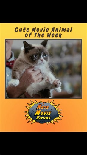 Cute Movie Animal of the Week: Grumpy Cat from "Grumpy Cat's Worst Christmas Ever" (2014)
