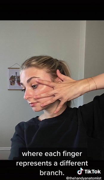 Cranial Nerve 7: Understanding the Facial Nerve