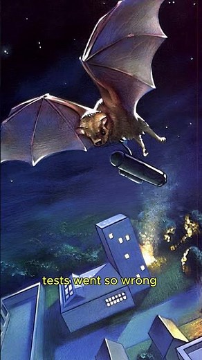 The Bat Bomb 🦇🦇 - History Documentary #shorts