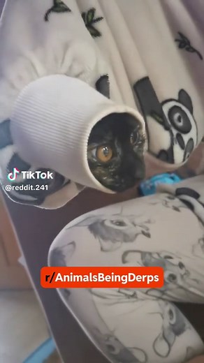 Love Island: Your Next Contestant Awaits!